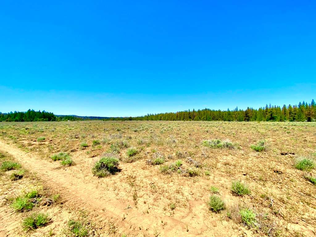 1.66 Acres of Residential Land for Sale in Beatty, Oregon