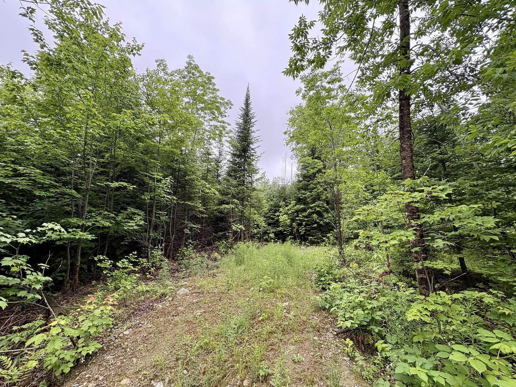1 Acre of Residential Land for Sale in Lee, Maine