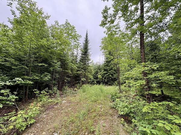 1 Acre of Residential Land for Sale in Lee, Maine