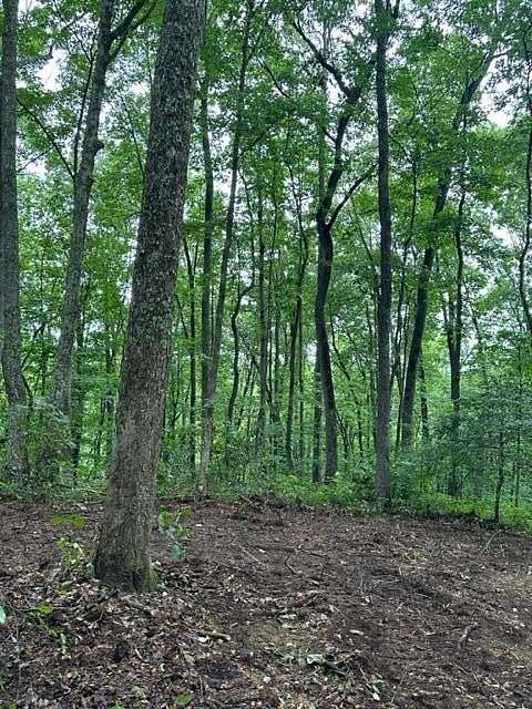 5.87 Acres of Residential Land for Sale in Wilder, Tennessee