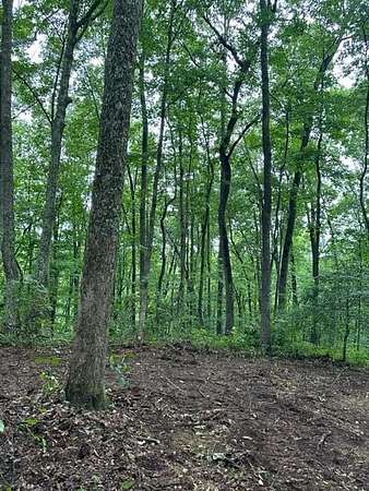 5.87 Acres of Residential Land for Sale in Wilder, Tennessee