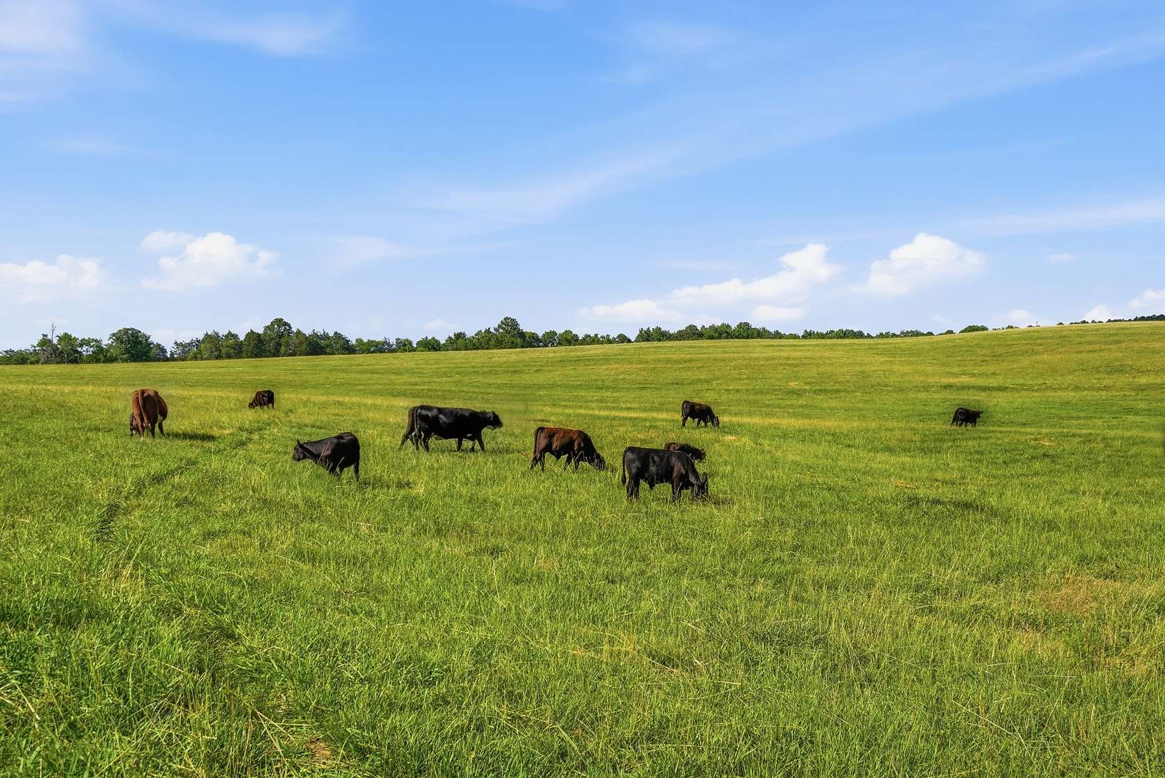 189 Acres of Land with Home for Sale in Richburg, South Carolina