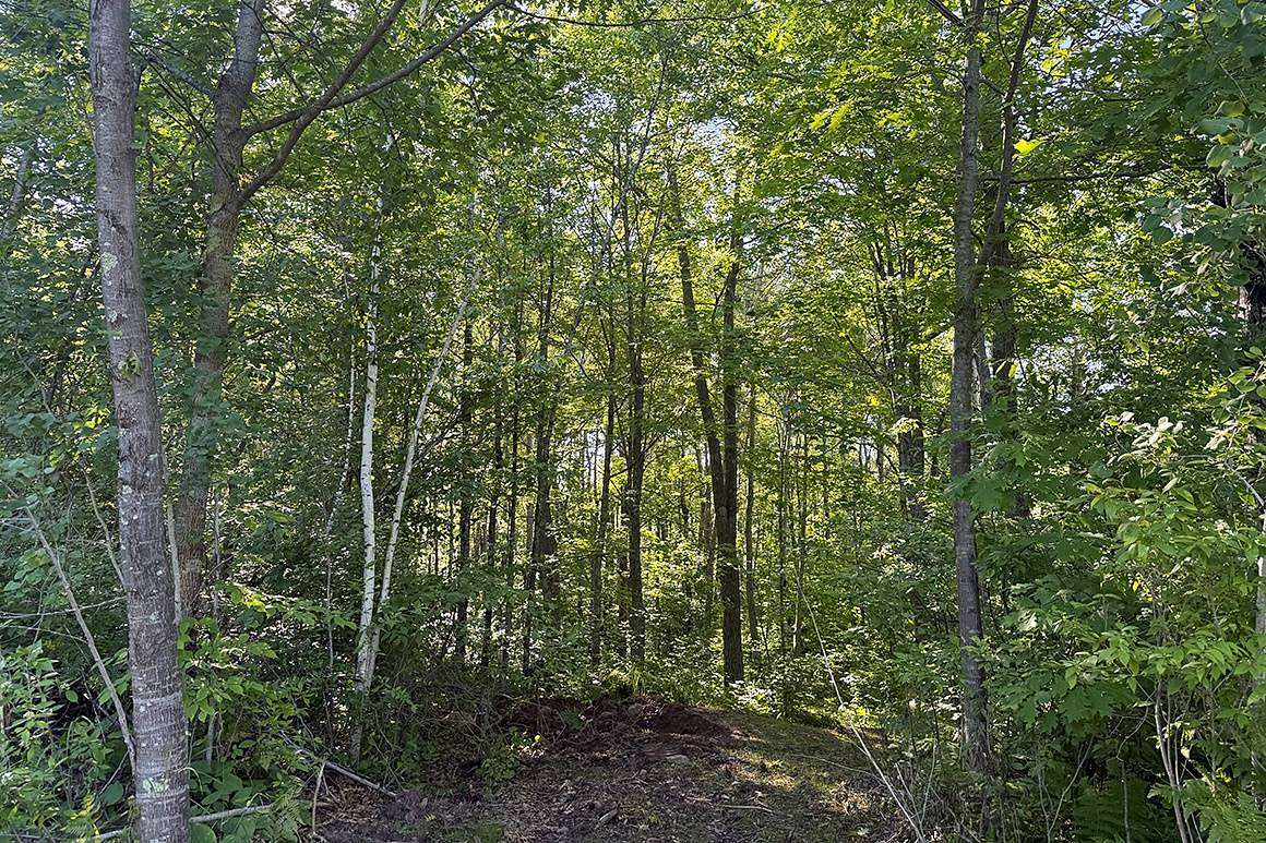 7.88 Acres of Land for Sale in Danbury, Wisconsin