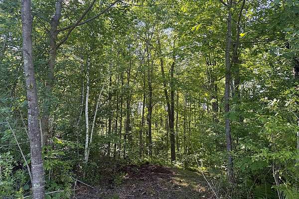 7.88 Acres of Land for Sale in Danbury, Wisconsin