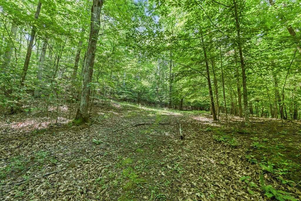 60.6 Acres of Recreational & Residential Land for Sale in Franklin, North Carolina