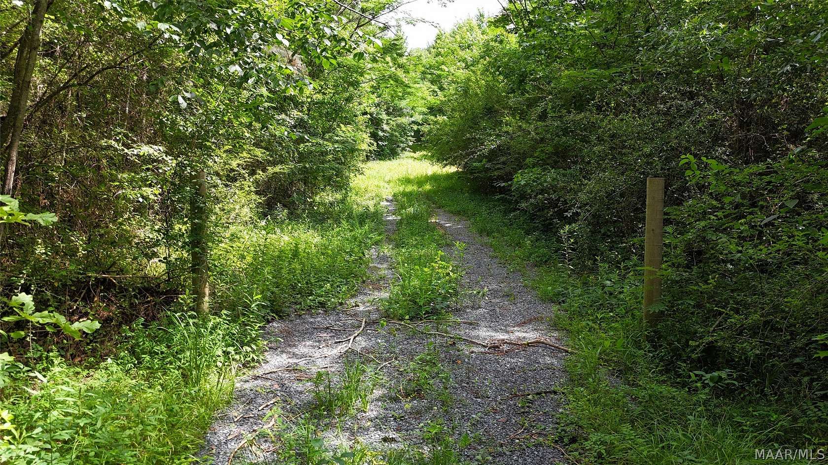 44 Acres of Recreational Land for Sale in Sylacauga, Alabama