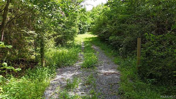 44 Acres of Recreational Land for Sale in Sylacauga, Alabama