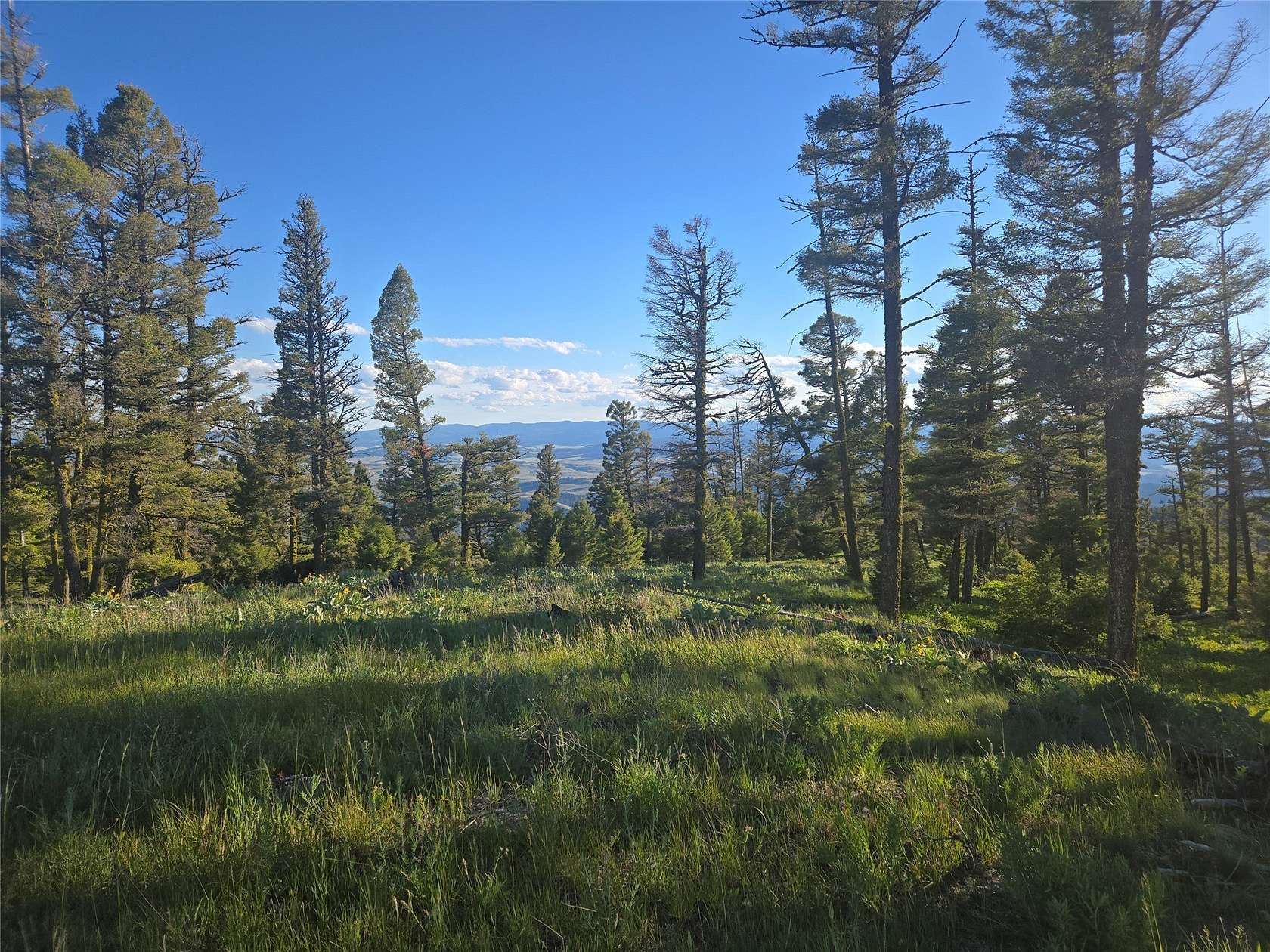 160 Acres of Recreational Land for Sale in Drummond, Montana