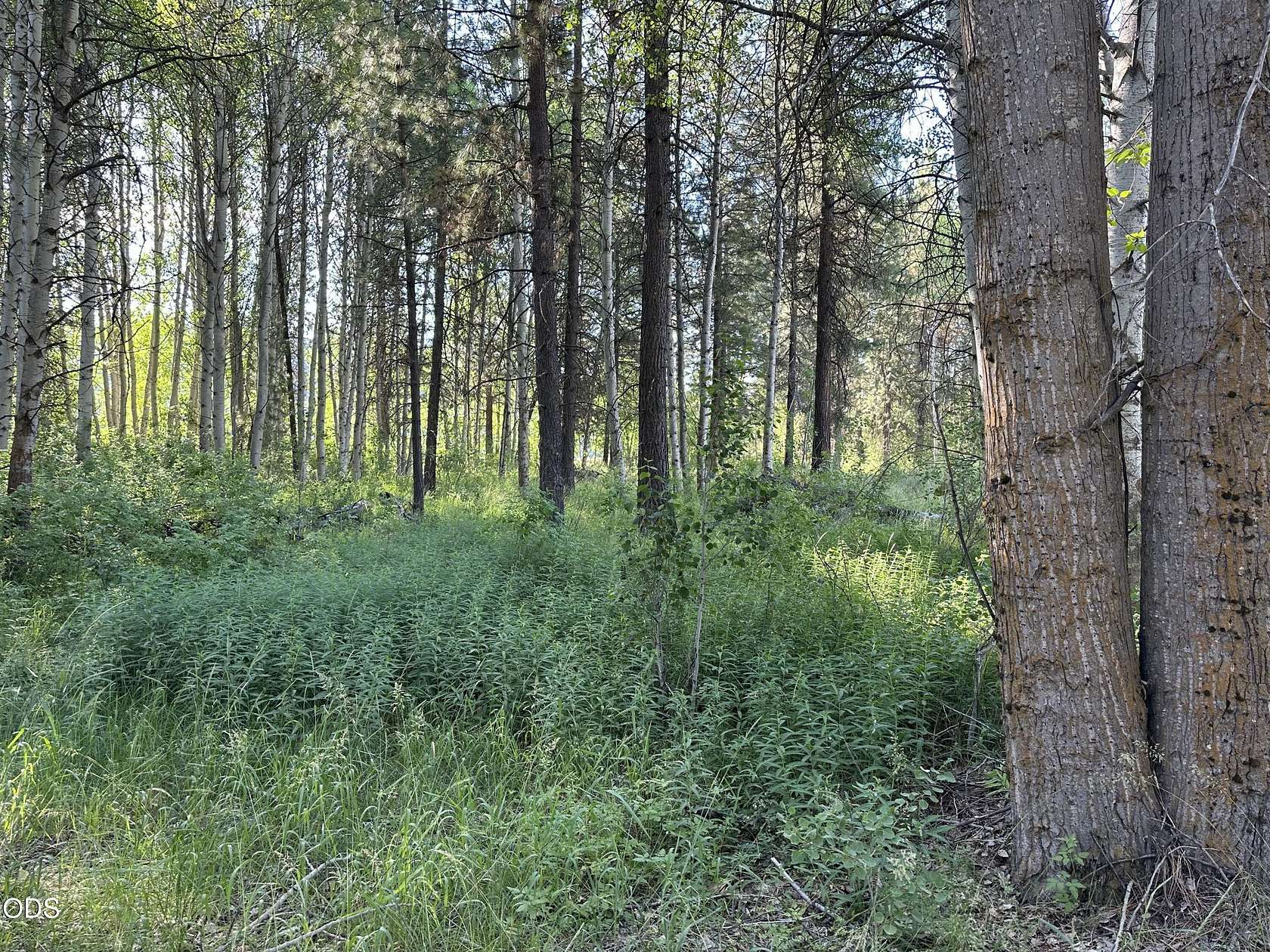 5.17 Acres of Residential Land for Sale in Chiloquin, Oregon