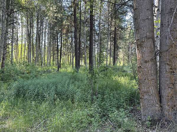 5.17 Acres of Residential Land for Sale in Chiloquin, Oregon