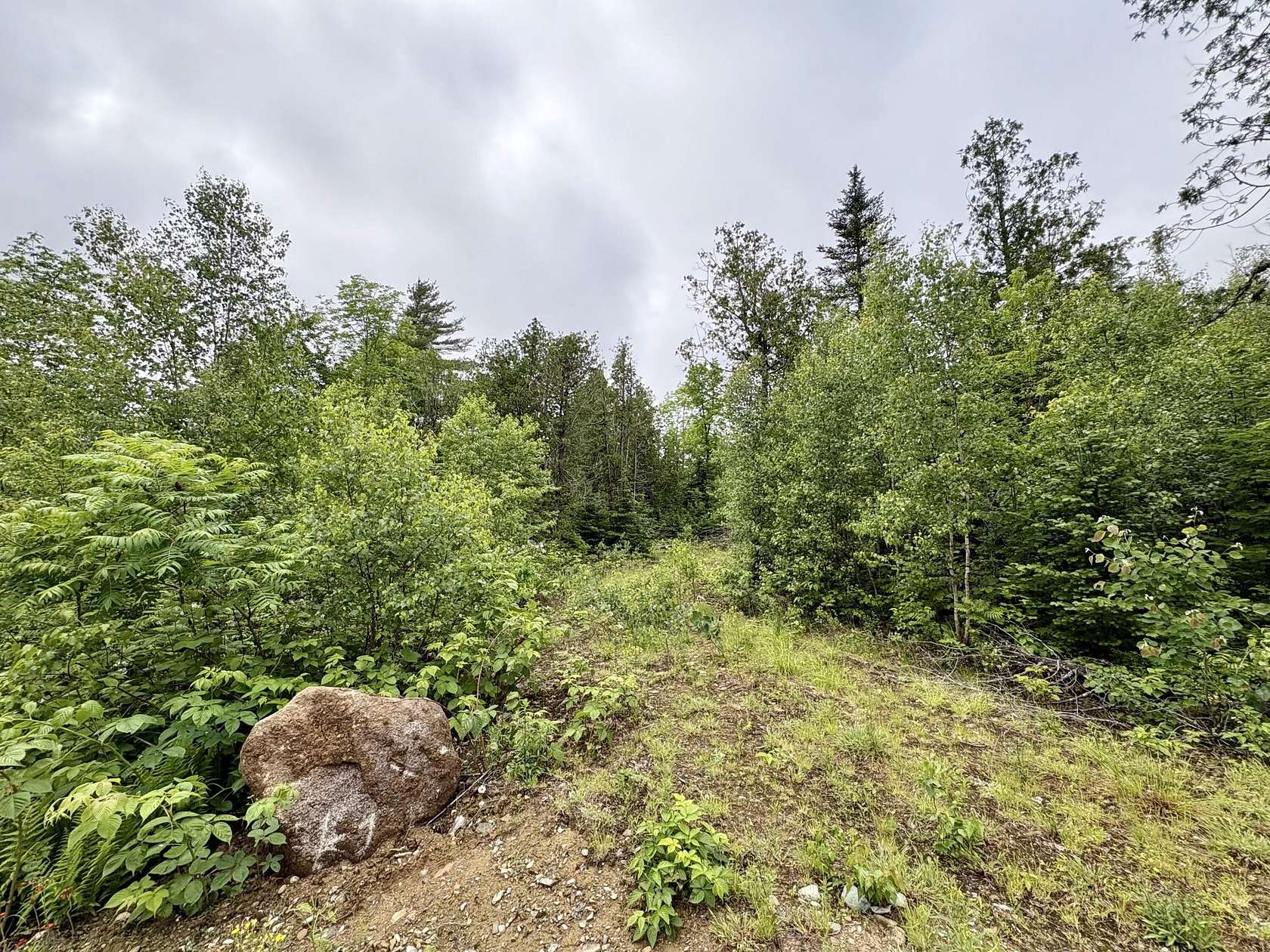 1 Acre of Residential Land for Sale in Lee, Maine