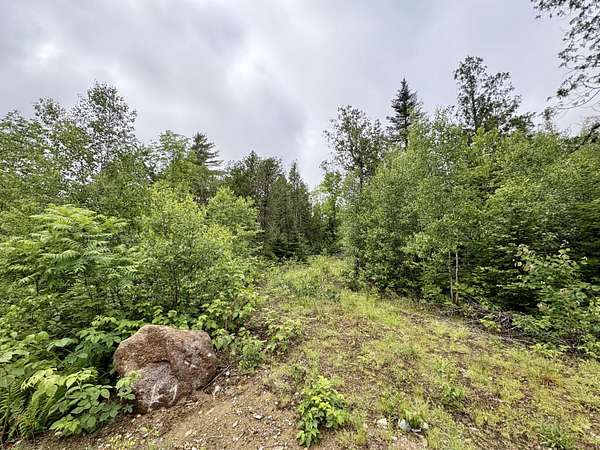 1 Acre of Residential Land for Sale in Lee, Maine