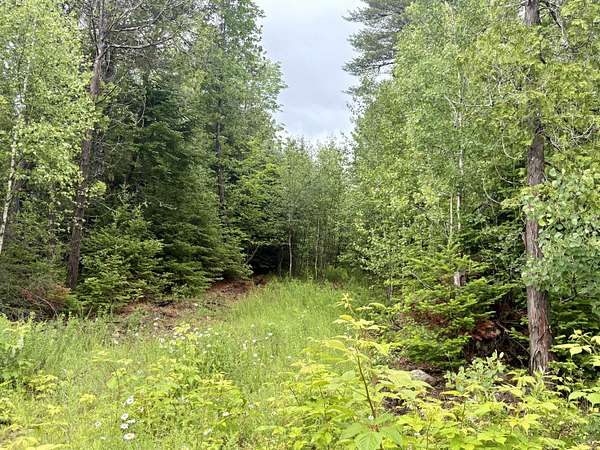 1.1 Acres of Residential Land for Sale in Lee, Maine