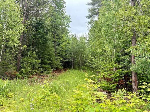 1.1 Acres of Residential Land for Sale in Lee, Maine