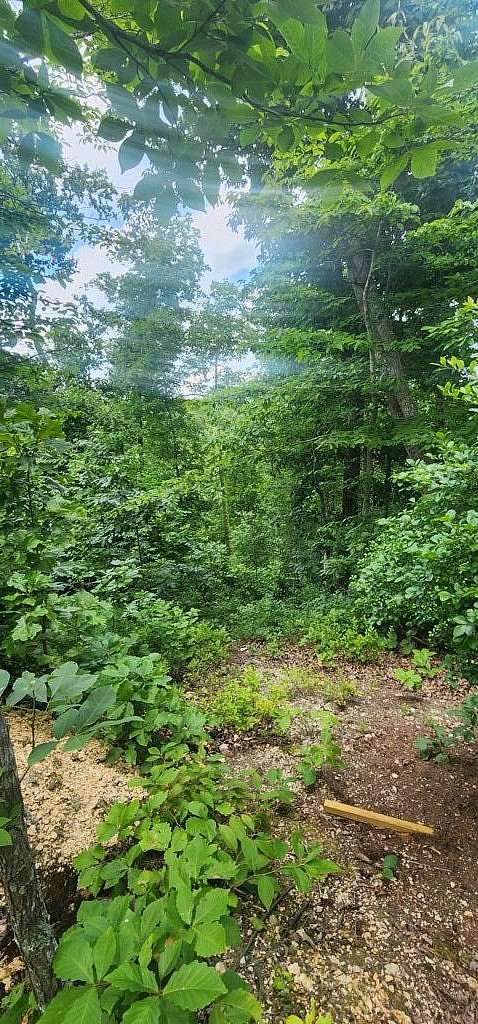 0.48 Acres of Land for Sale in Holladay, Tennessee
