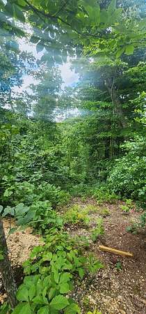 0.48 Acres of Land for Sale in Holladay, Tennessee