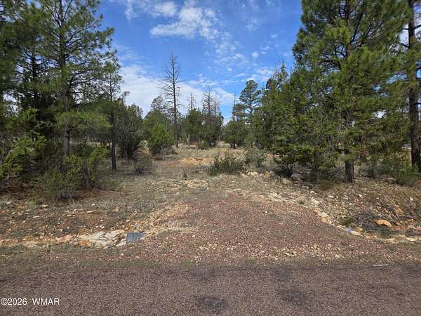 0.85 Acres of Residential Land for Sale in Heber, Arizona