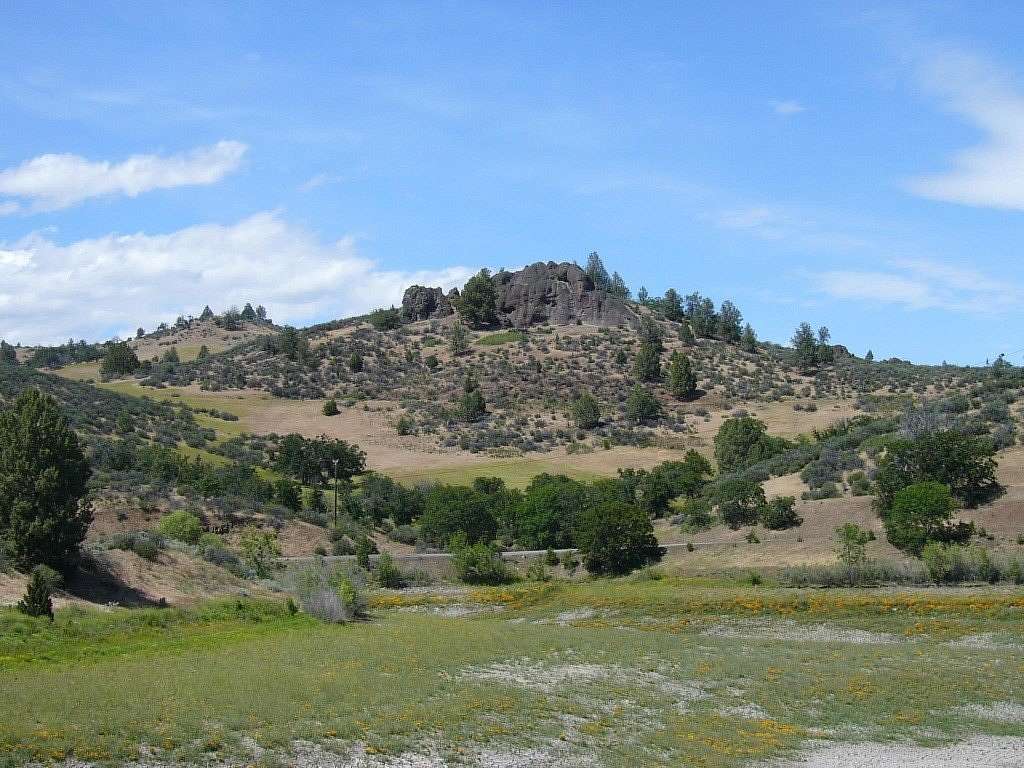 25.6 Acres of Land for Sale in Hornbrook, California