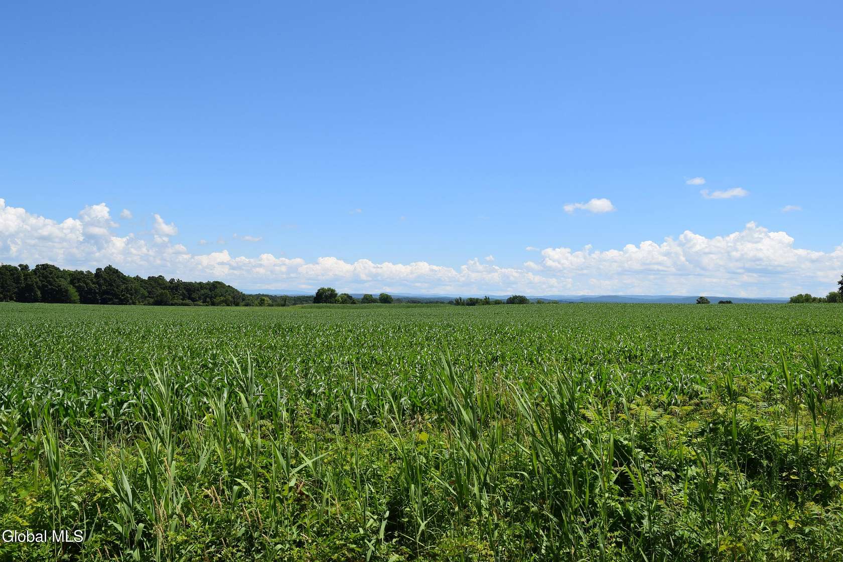 258 Acres of Land for Sale in Mechanicville, New York