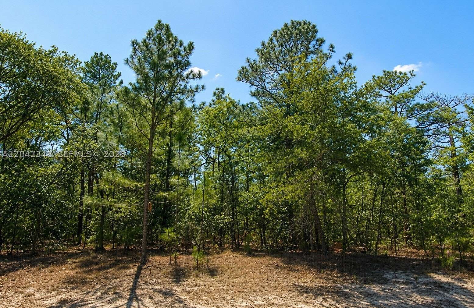 0.28 Acres of Residential Land for Sale in Citrus Springs, Florida