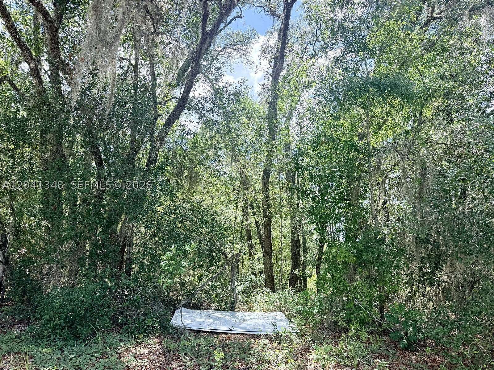 0.28 Acres of Residential Land for Sale in Citrus Springs, Florida