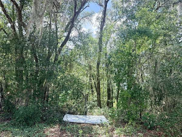 0.28 Acres of Residential Land for Sale in Citrus Springs, Florida