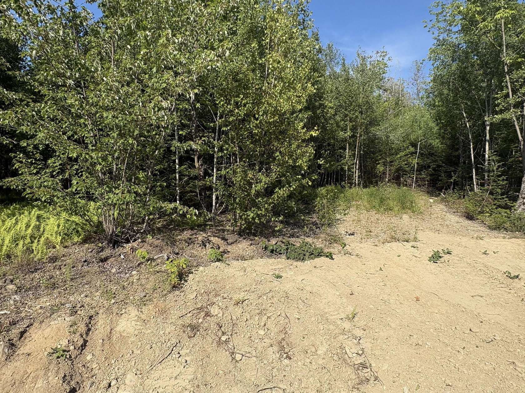 1 Acre of Residential Land for Sale in Lee, Maine