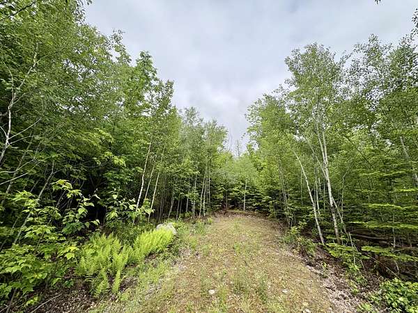 1 Acre of Residential Land for Sale in Lee, Maine