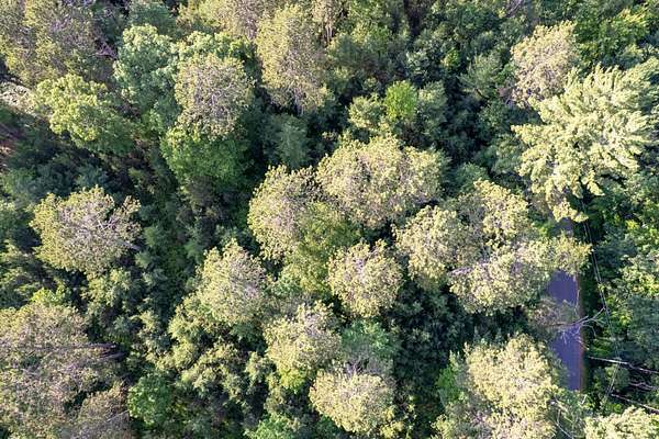 5 Acres of Residential Land for Sale in Eagle River, Wisconsin