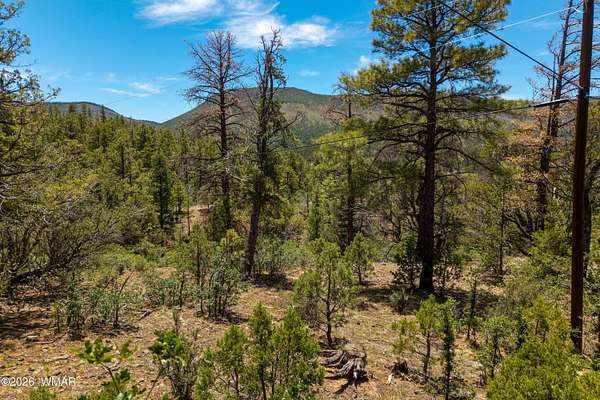 2 Acres of Residential Land for Sale in Nutrioso, Arizona