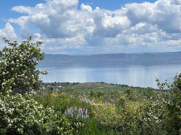 0.5 Acres of Residential Land for Sale in Fish Haven, Idaho