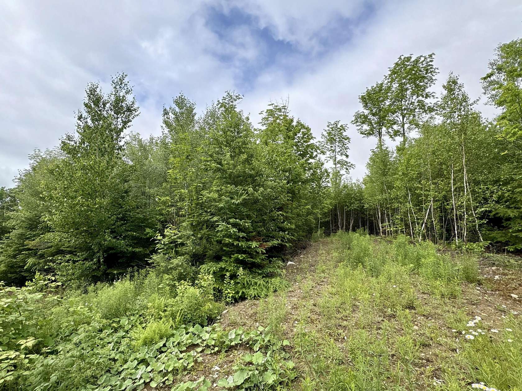 1 Acre of Residential Land for Sale in Lee, Maine