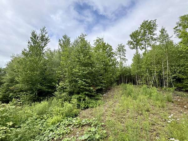 1 Acre of Residential Land for Sale in Lee, Maine