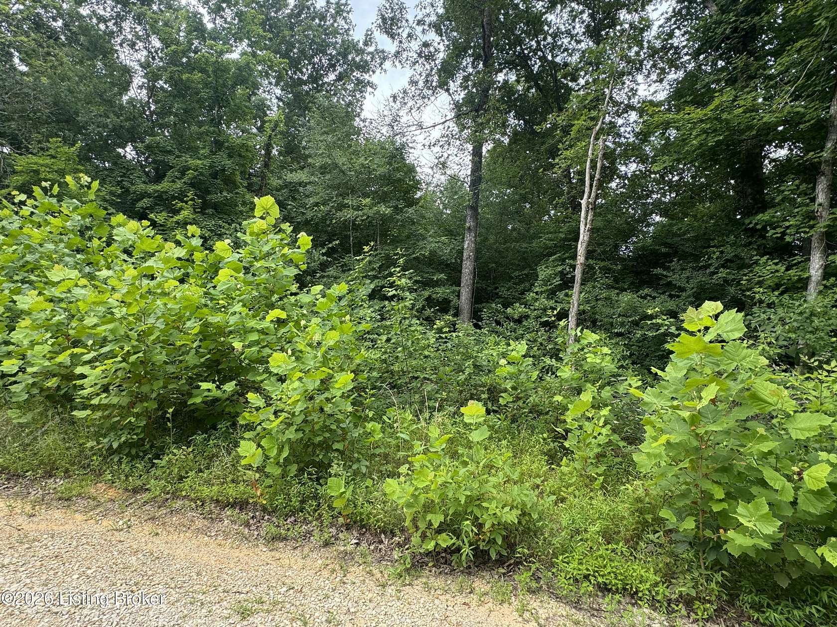 2.27 Acres of Residential Land for Sale in Clarkson, Kentucky
