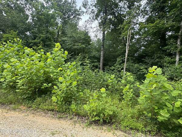 2.27 Acres of Residential Land for Sale in Clarkson, Kentucky