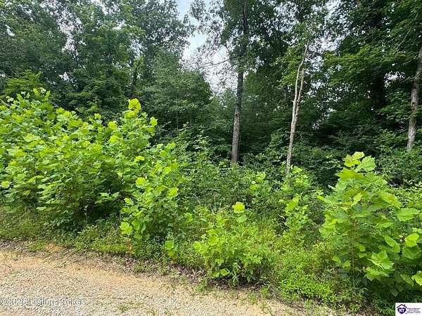 2.27 Acres of Residential Land for Sale in Clarkson, Kentucky