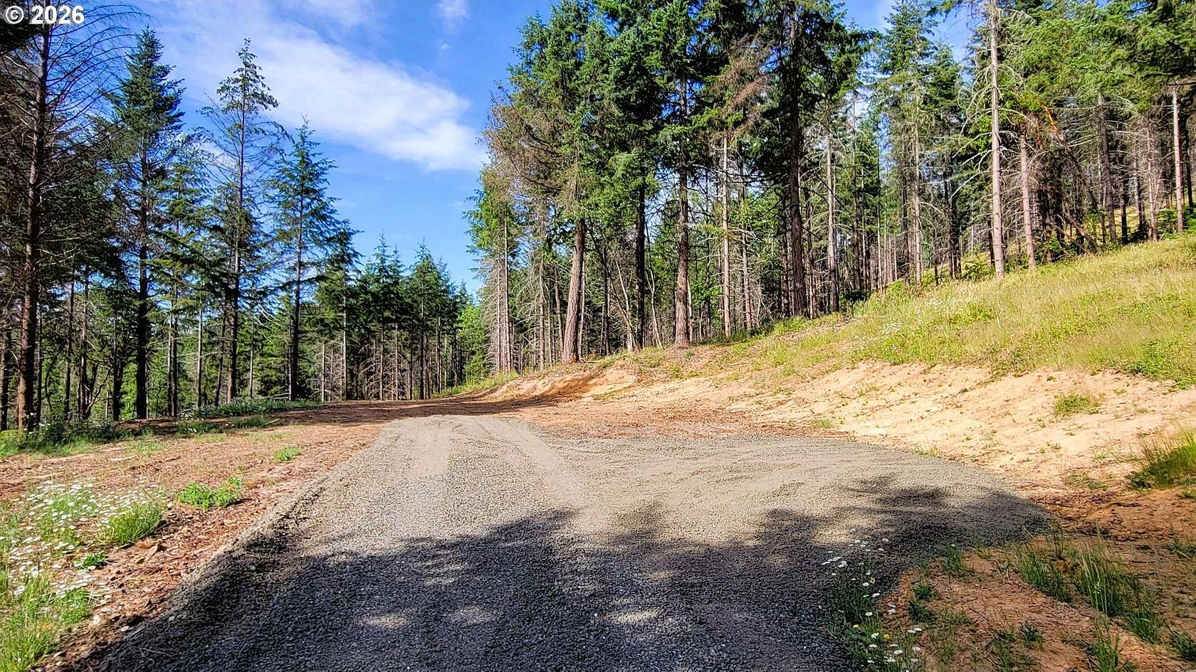 20 Acres of Land for Sale in Eugene, Oregon