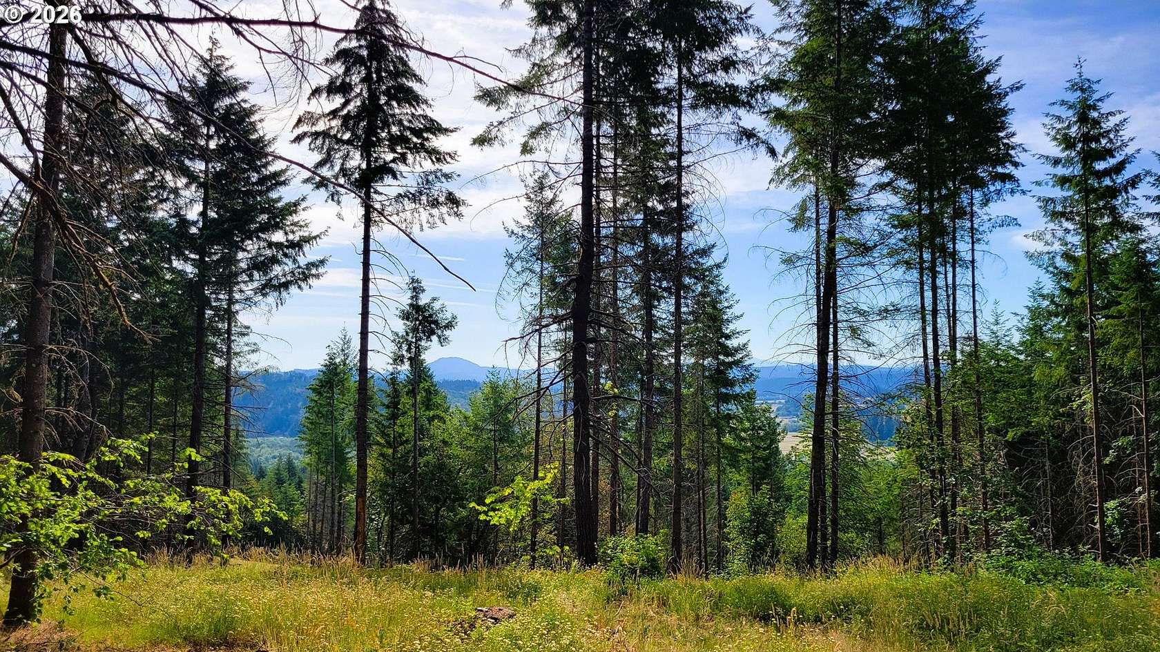 20 Acres of Land for Sale in Eugene, Oregon
