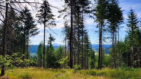 20 Acres of Land for Sale in Eugene, Oregon