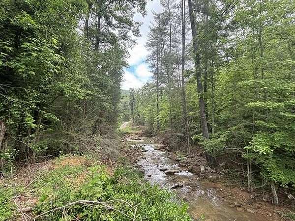 80 Acres of Recreational Land for Sale in Pikeville, Tennessee