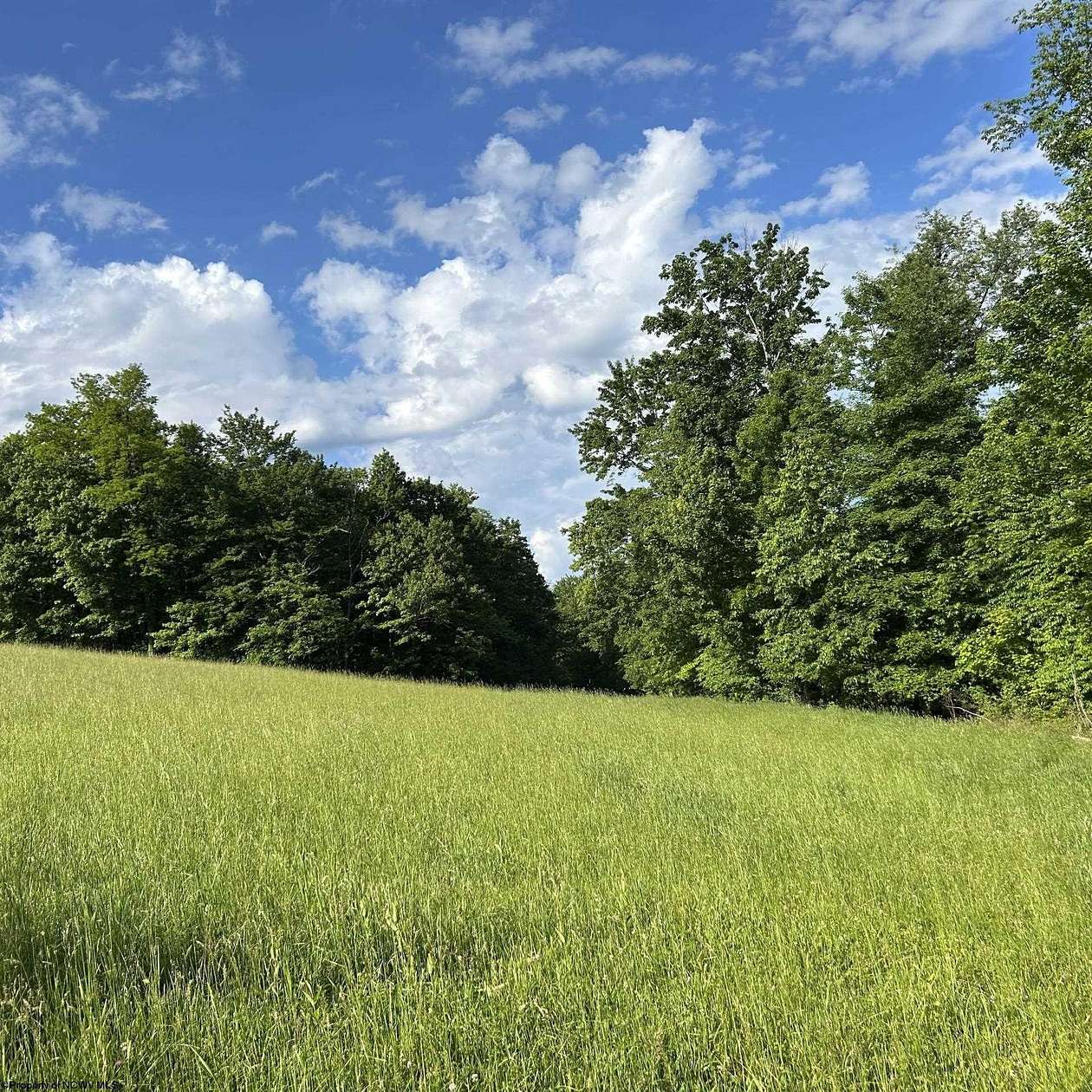 189 Acres of Land for Sale in Terra Alta, West Virginia