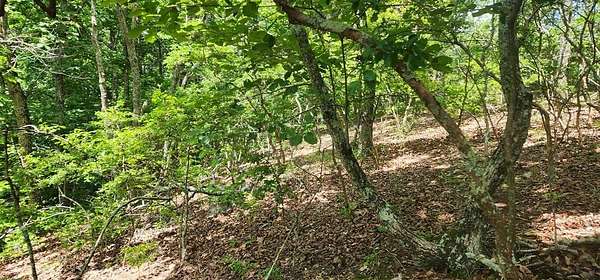 0.44 Acres of Land for Sale in Holladay, Tennessee