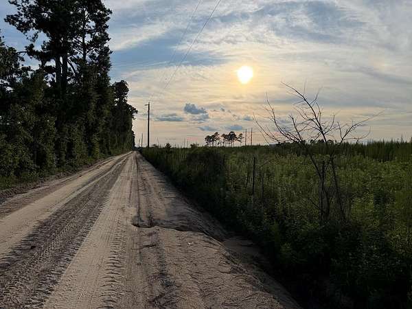 3 Acres of Residential Land for Sale in Lakeland, Georgia