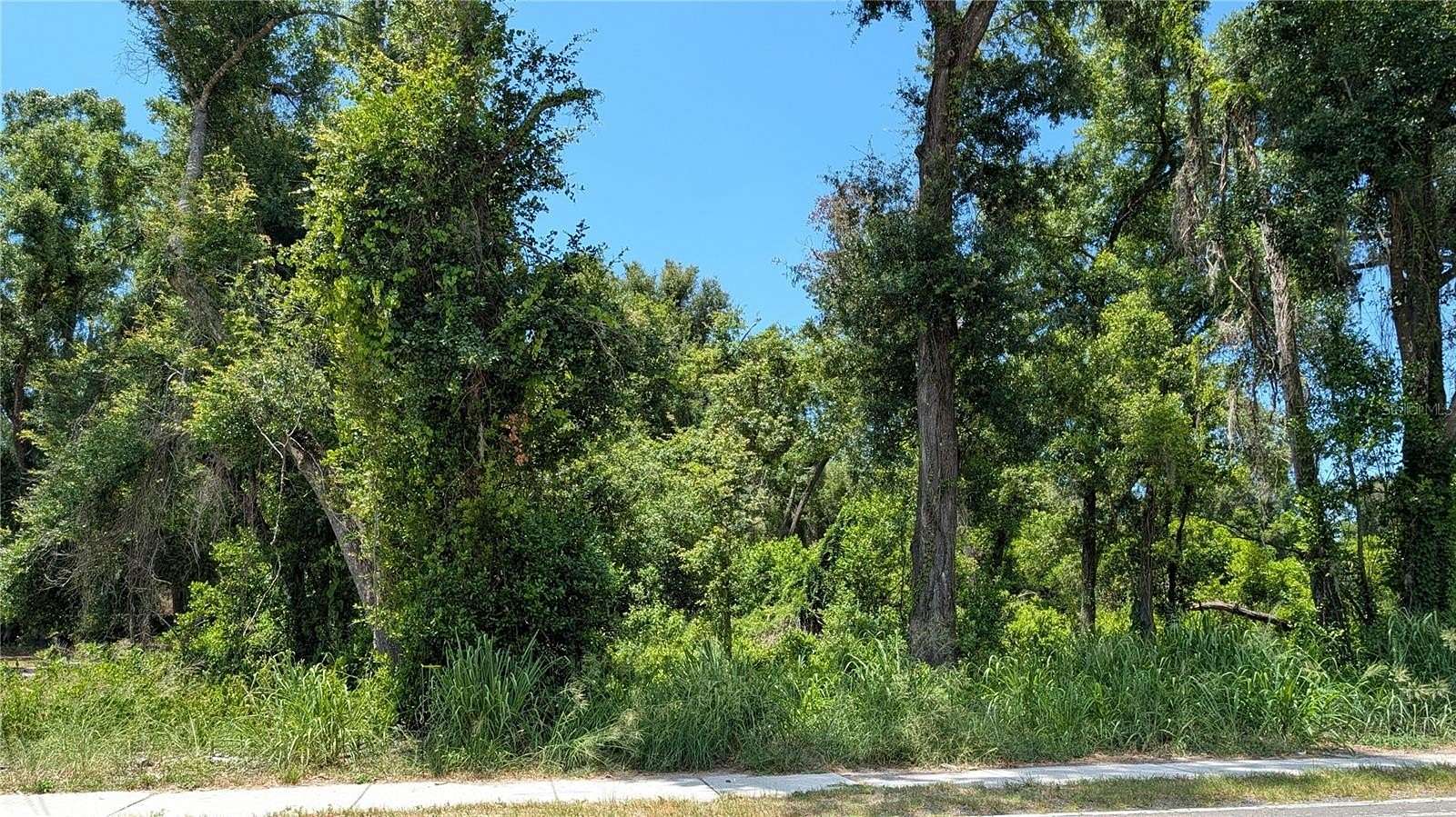 0.89 Acres of Land for Sale in Seffner, Florida