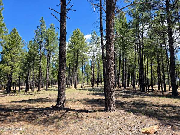 10 Acres of Land for Sale in Flagstaff, Arizona