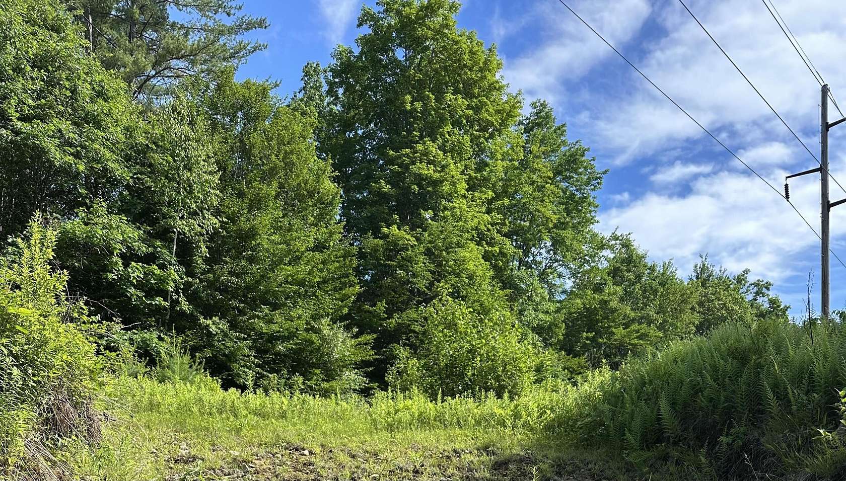 9.5 Acres of Land for Sale in Jay, Maine