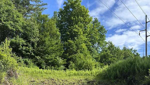 9.5 Acres of Land for Sale in Jay, Maine