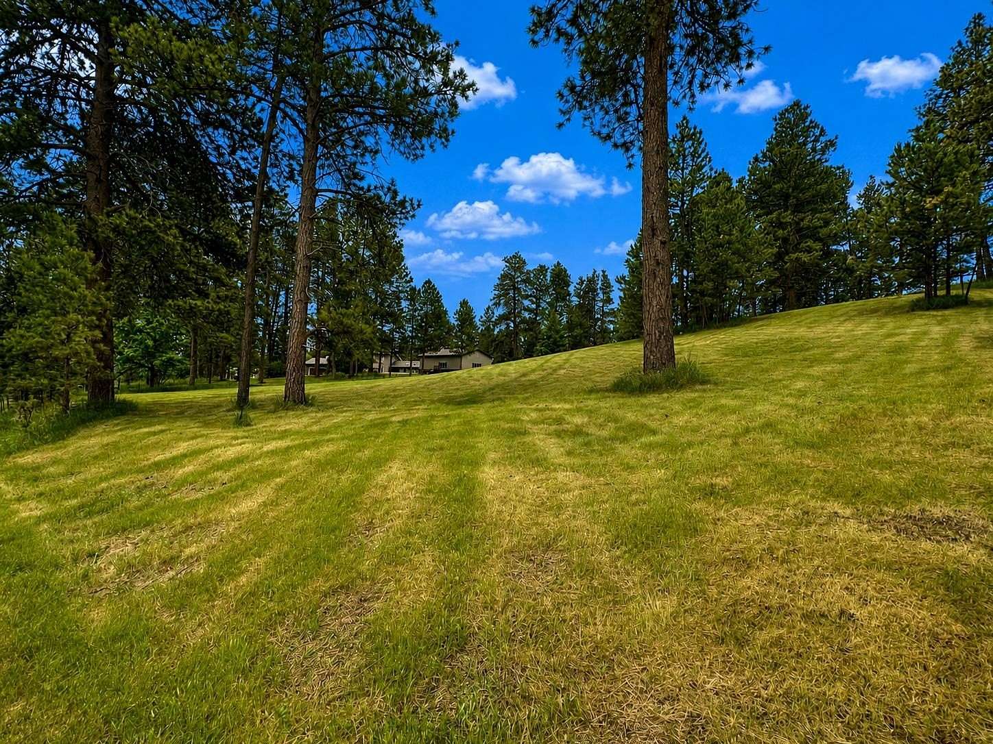 0.75 Acres of Residential Land for Sale in Sturgis, South Dakota