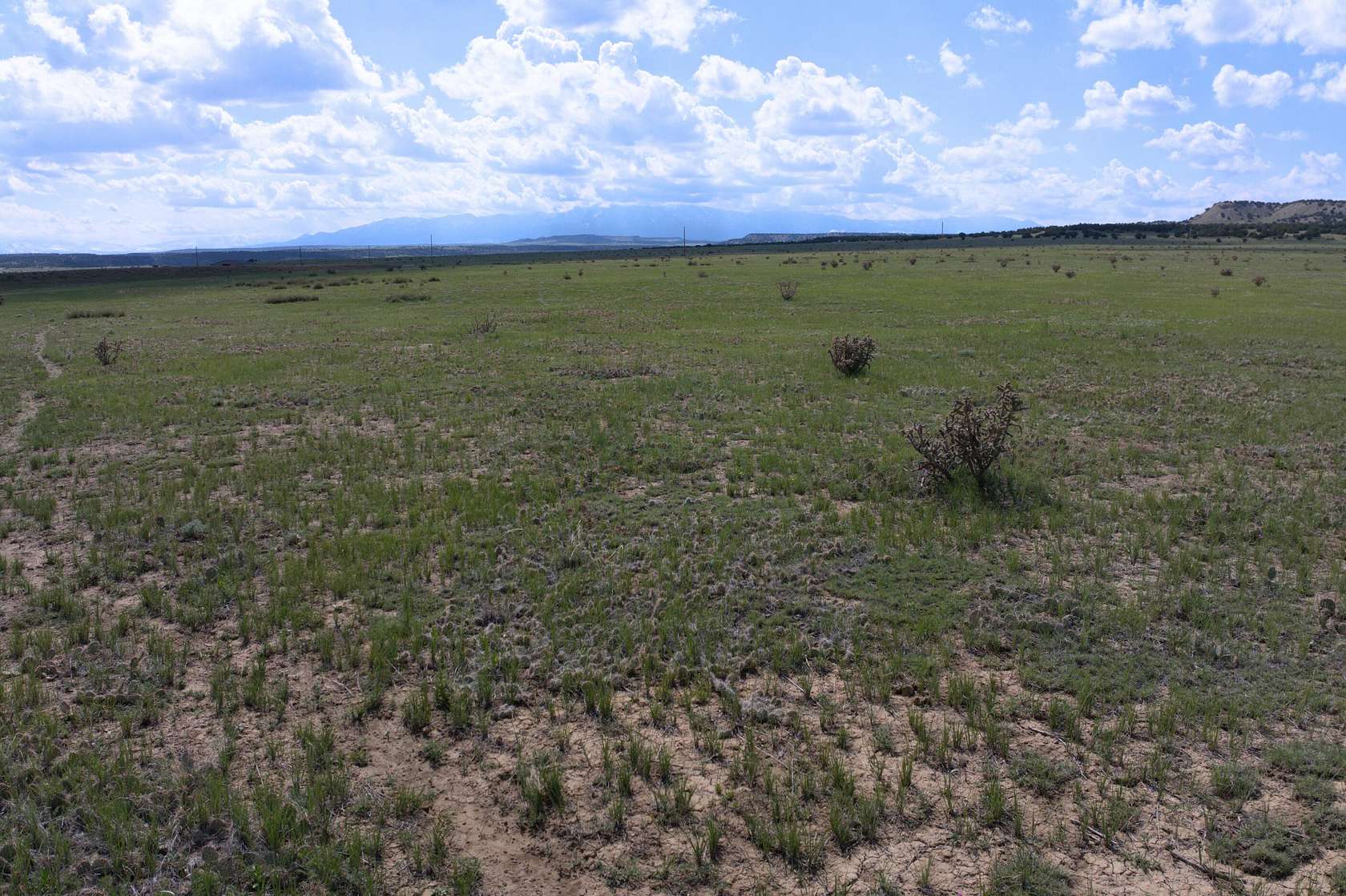 35 Acres of Land for Sale in Rye, Colorado