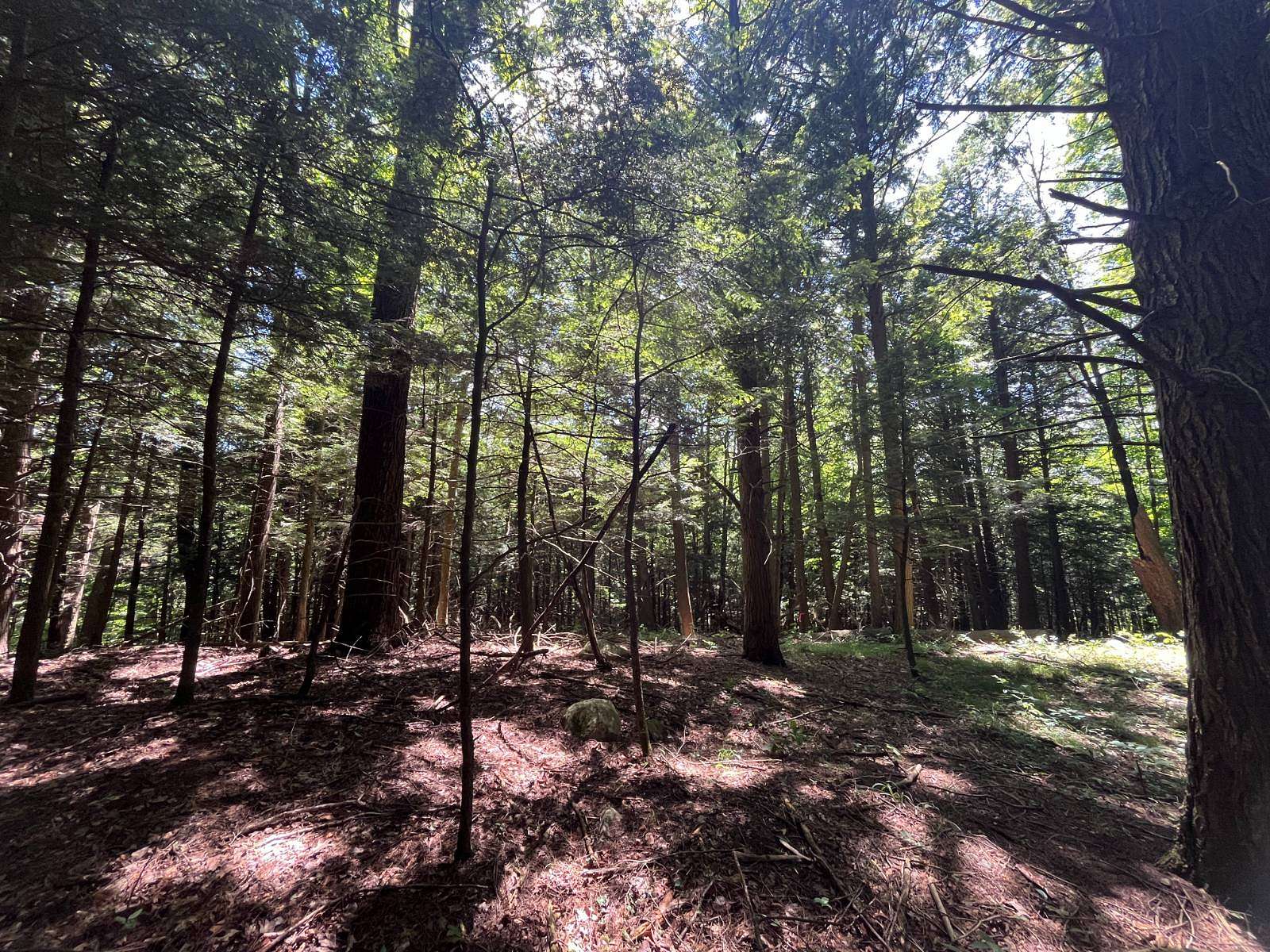 15 Acres of Land for Sale in Canton, New York